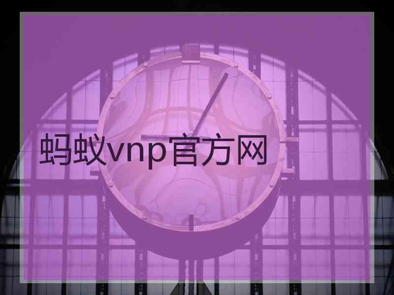 蚂蚁vnp官方网