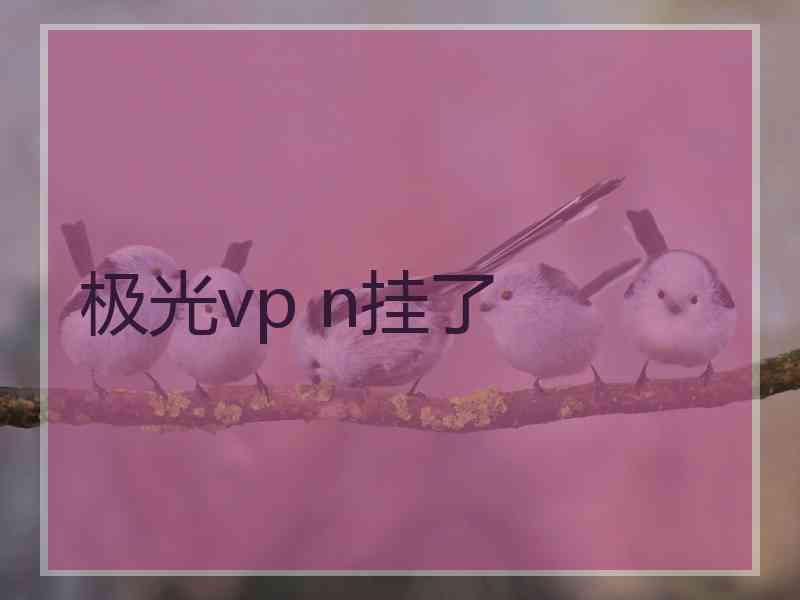 极光vp n挂了