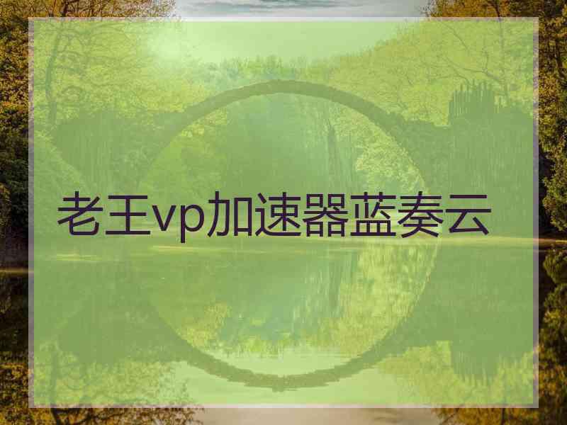 老王vp加速器蓝奏云