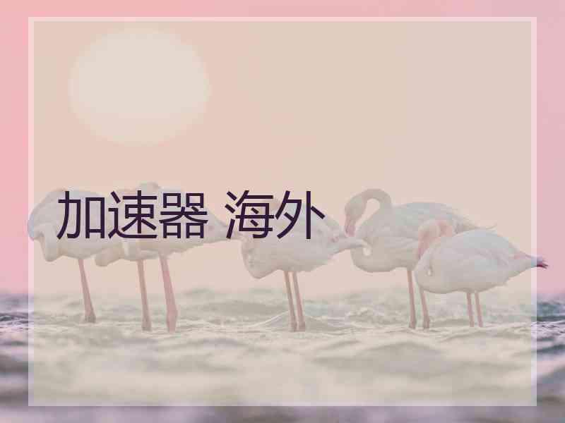 加速器 海外