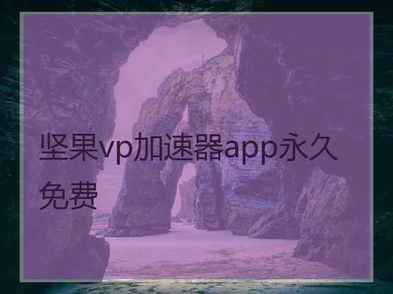 坚果vp加速器app永久免费