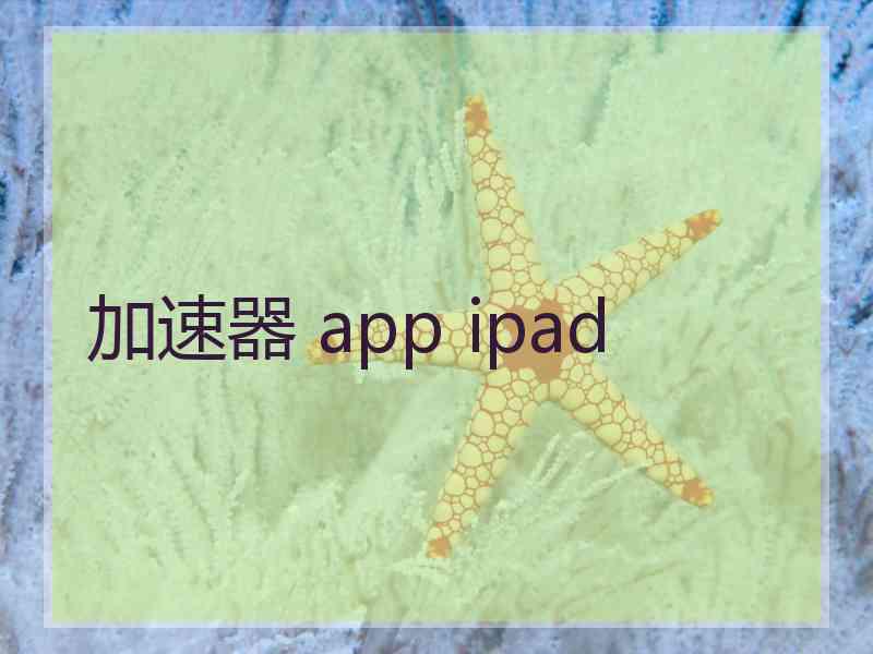 加速器 app ipad