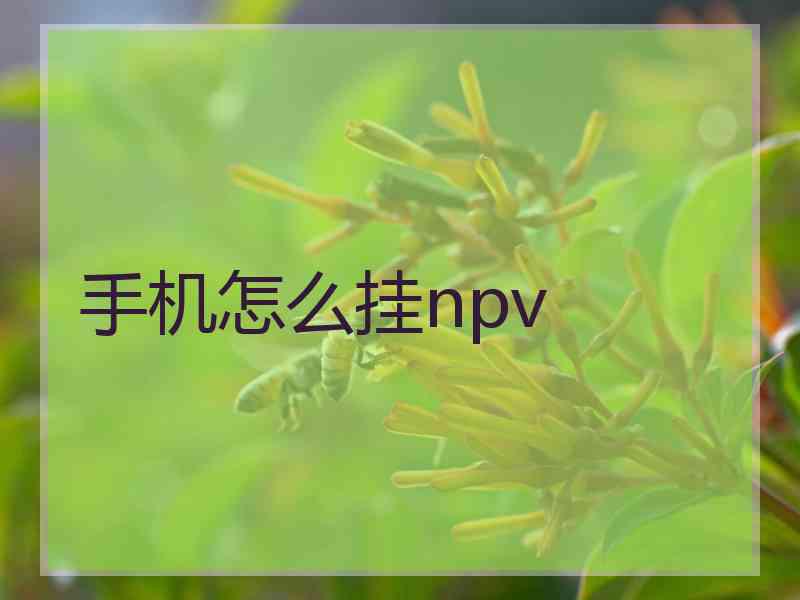 手机怎么挂npv