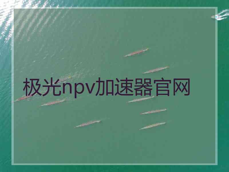 极光npv加速器官网