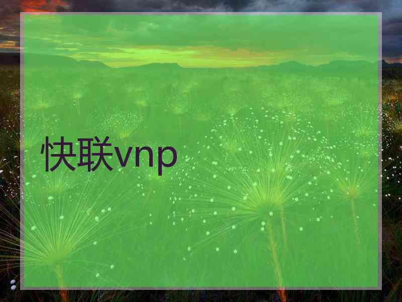 快联vnp