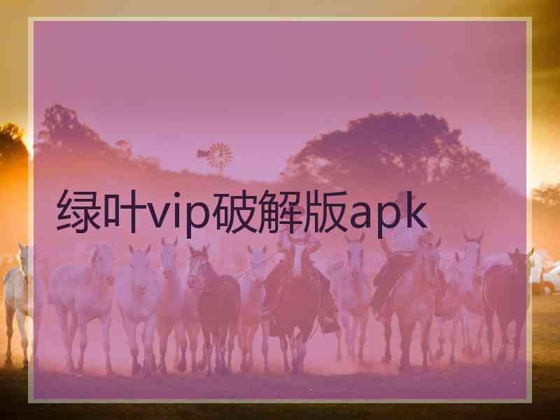 绿叶vip破解版apk