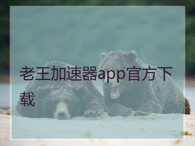 老王加速器app官方下载