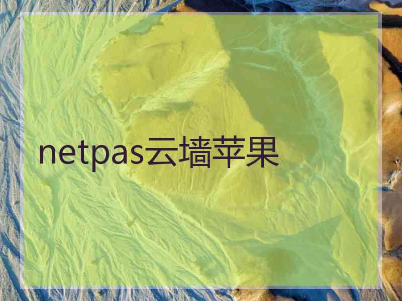 netpas云墙苹果