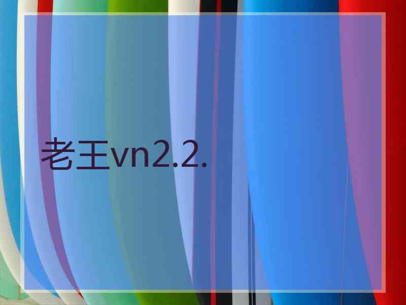 老王vn2.2.