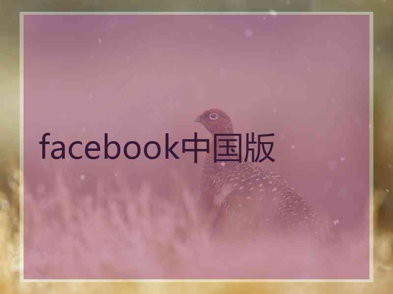 facebook中国版