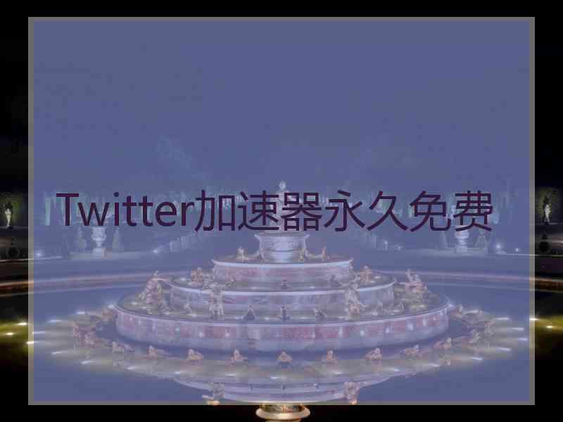 Twitter加速器永久免费