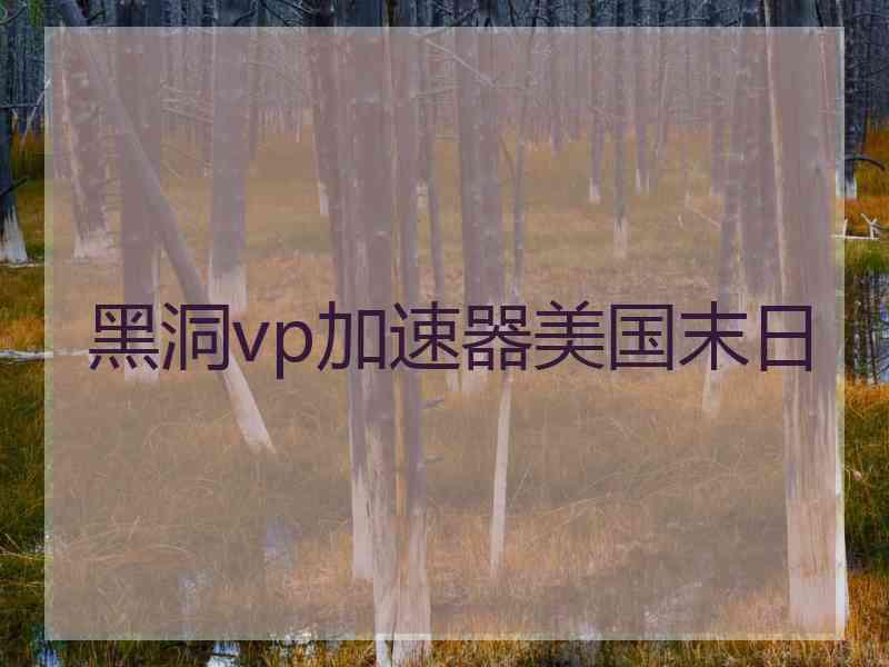 黑洞vp加速器美国末日