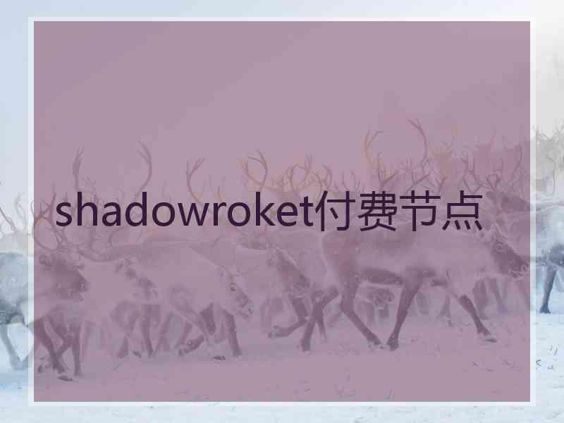 shadowroket付费节点