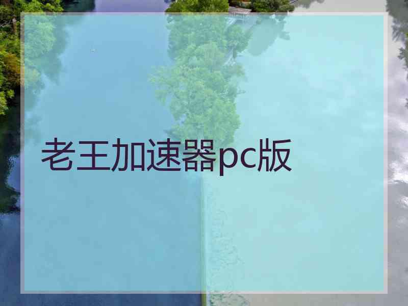 老王加速器pc版