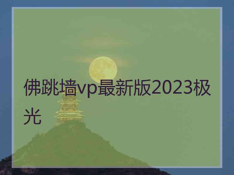 佛跳墙vp最新版2023极光