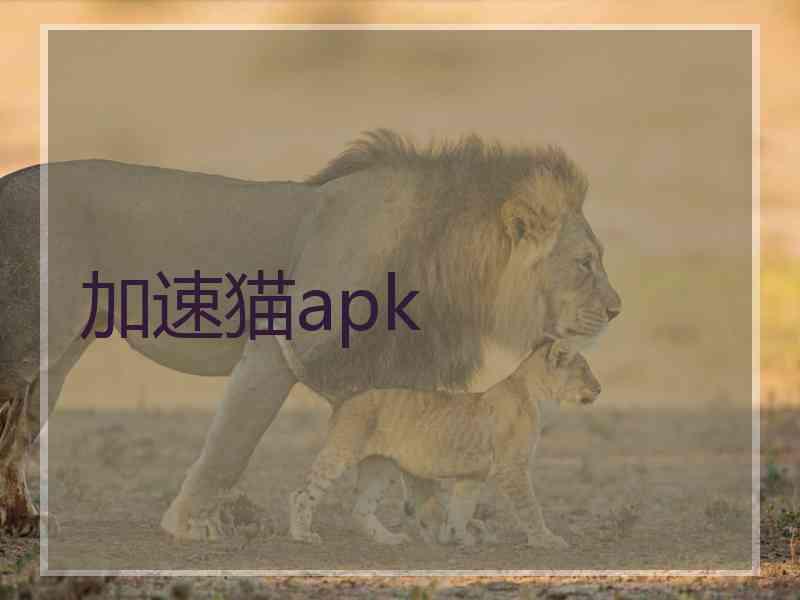 加速猫apk