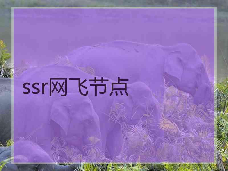 ssr网飞节点