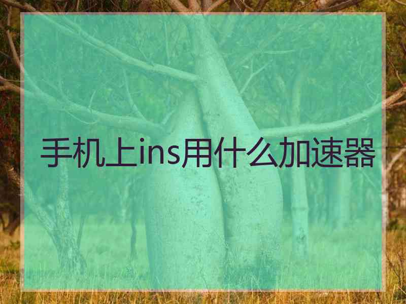 手机上ins用什么加速器