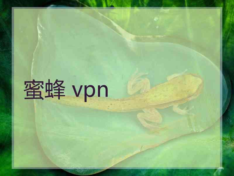 蜜蜂 vpn