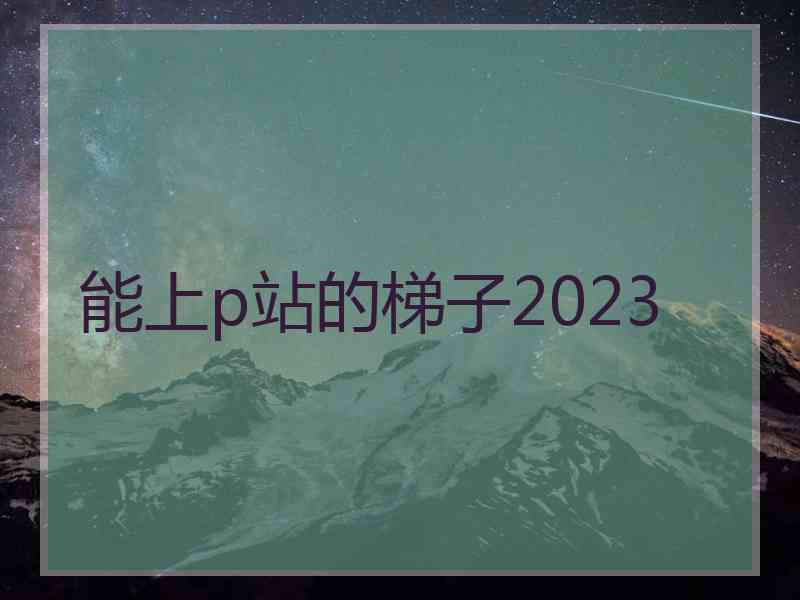 能上p站的梯子2023