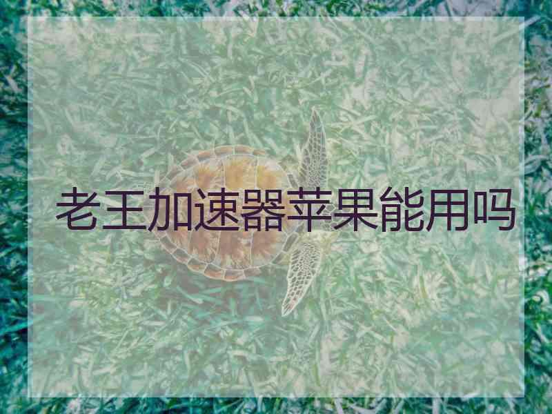 老王加速器苹果能用吗