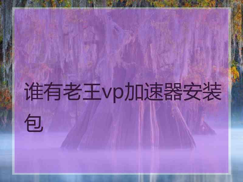 谁有老王vp加速器安装包