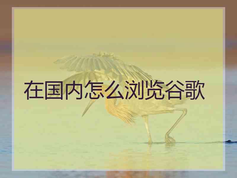 在国内怎么浏览谷歌