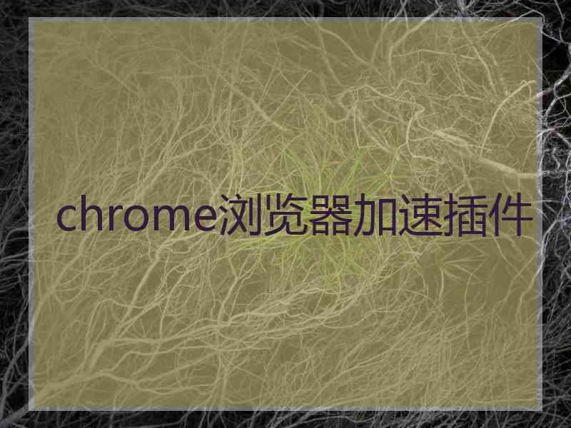 chrome浏览器加速插件