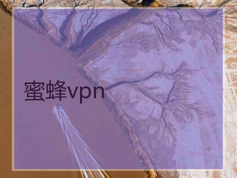 蜜蜂vpn