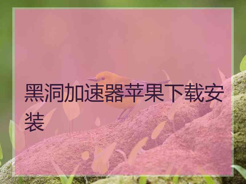 黑洞加速器苹果下载安装