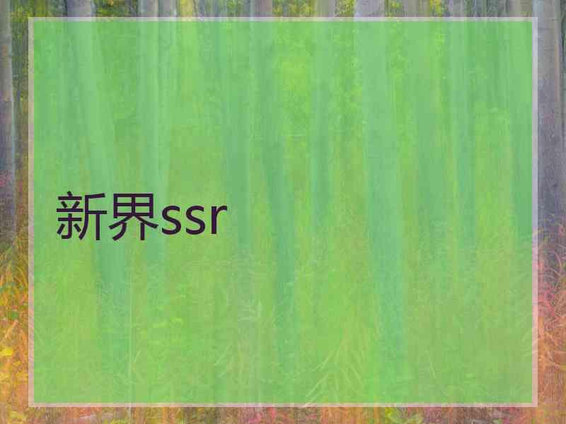 新界ssr