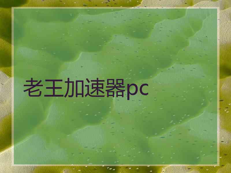 老王加速器pc