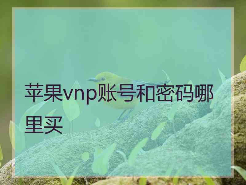 苹果vnp账号和密码哪里买