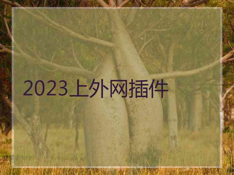 2023上外网插件