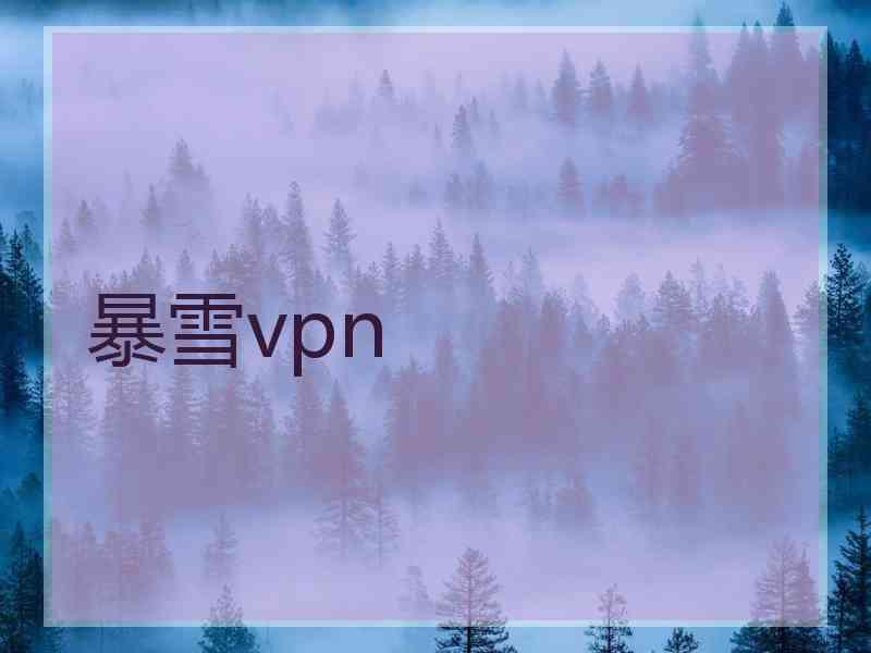 暴雪vpn