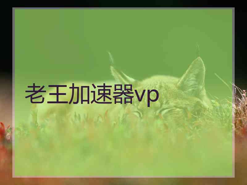 老王加速器vp