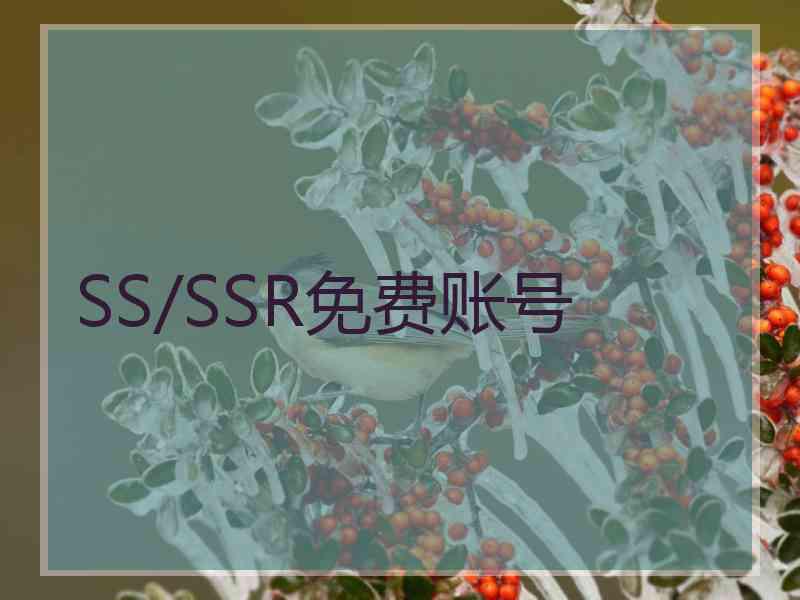 SS/SSR免费账号