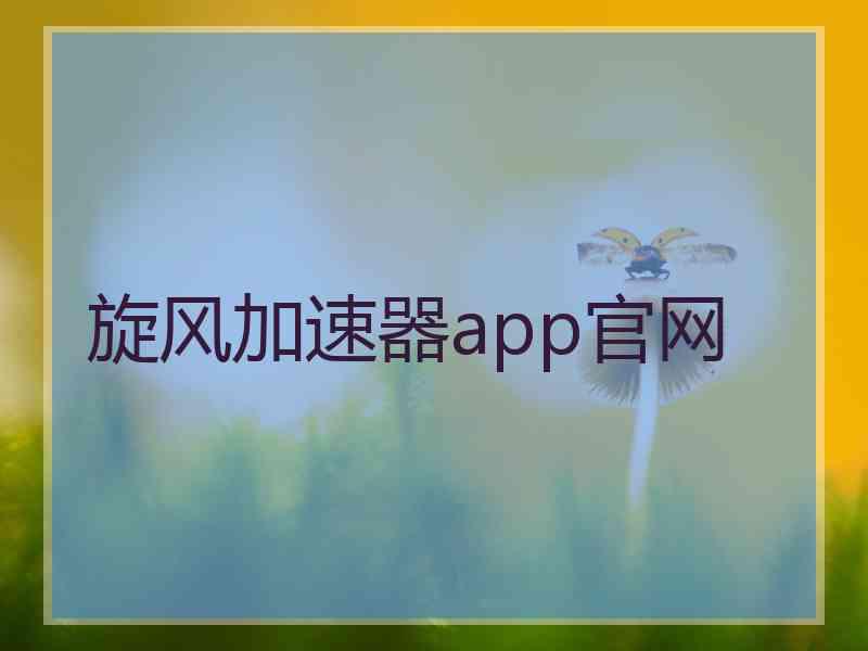 旋风加速器app官网