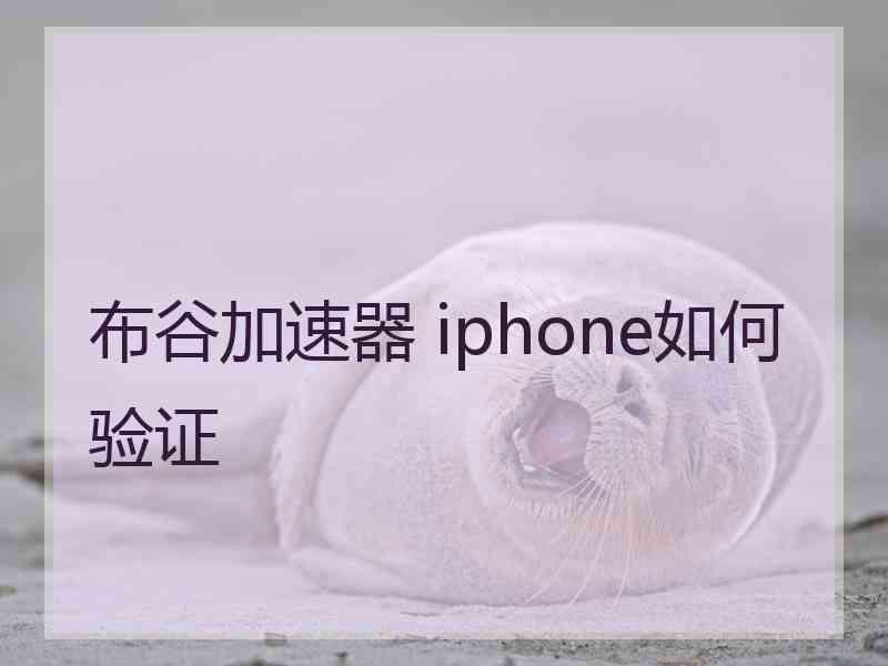 布谷加速器 iphone如何验证