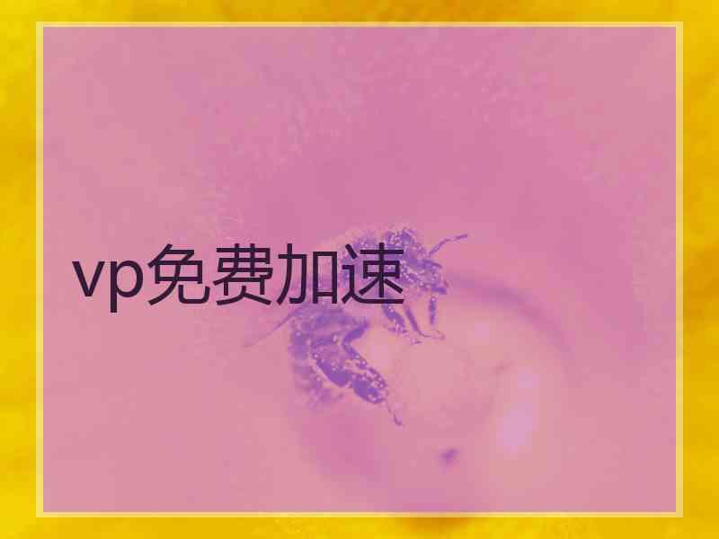 vp免费加速