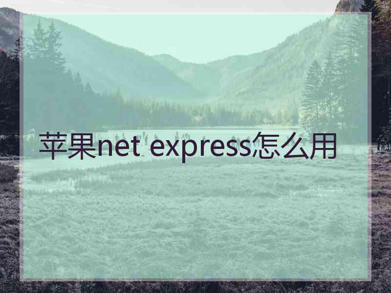 苹果net express怎么用