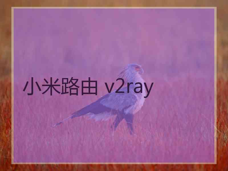 小米路由 v2ray