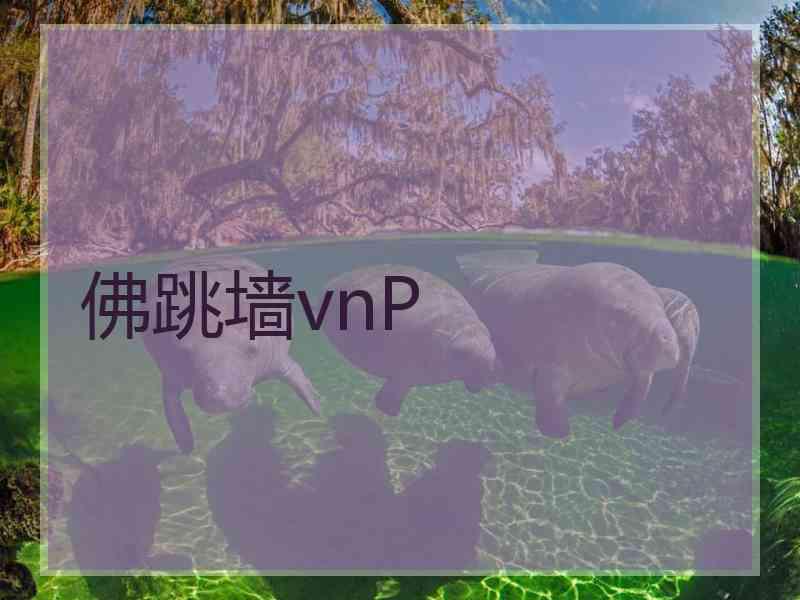 佛跳墙vnP