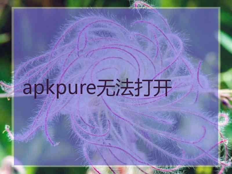 apkpure无法打开