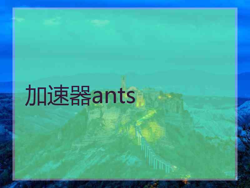 加速器ants