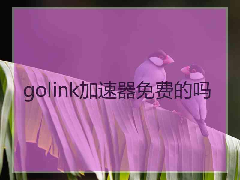 golink加速器免费的吗