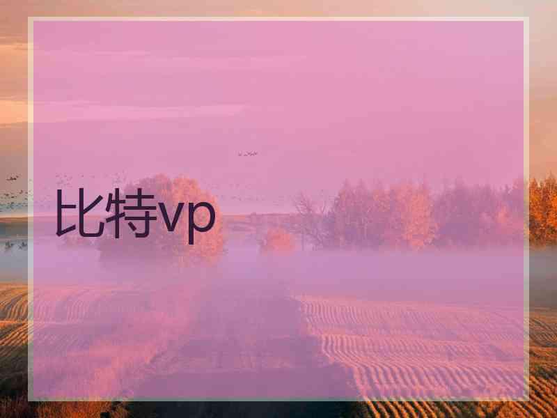 比特vp