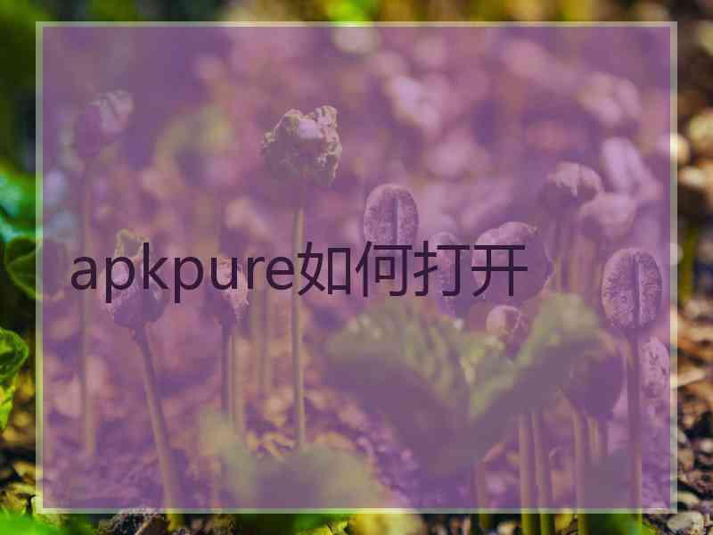 apkpure如何打开