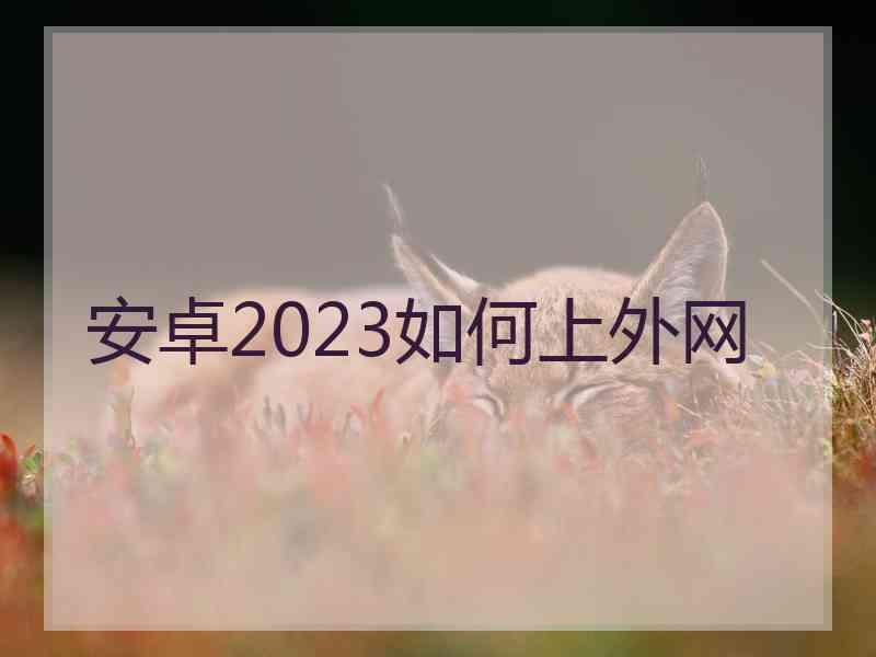 安卓2023如何上外网