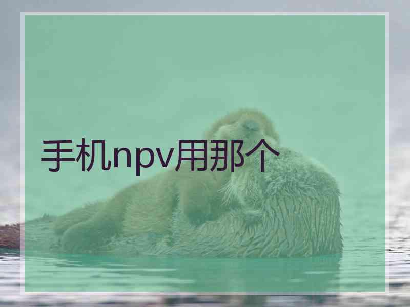 手机npv用那个